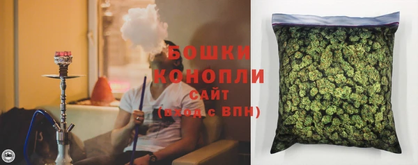 эйфоретик Вяземский