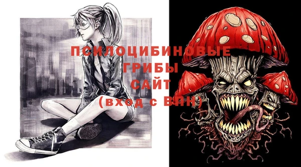 эйфоретик Вяземский
