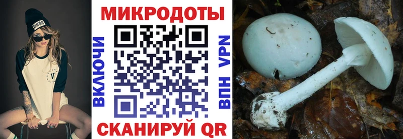 ссылка на мегу как зайти  Очёр  Псилоцибиновые грибы Magic Shrooms 